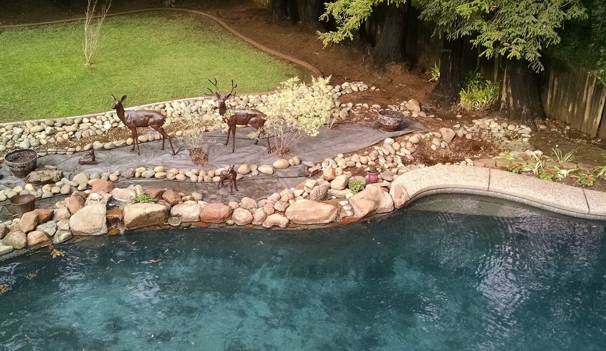 Customer photo