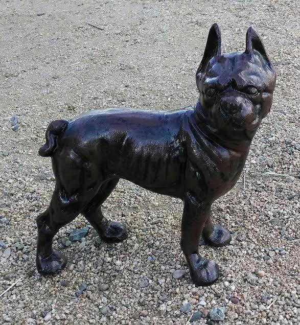 Boxer