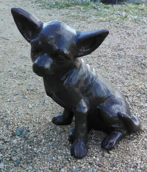 Chihuahua, Sitting