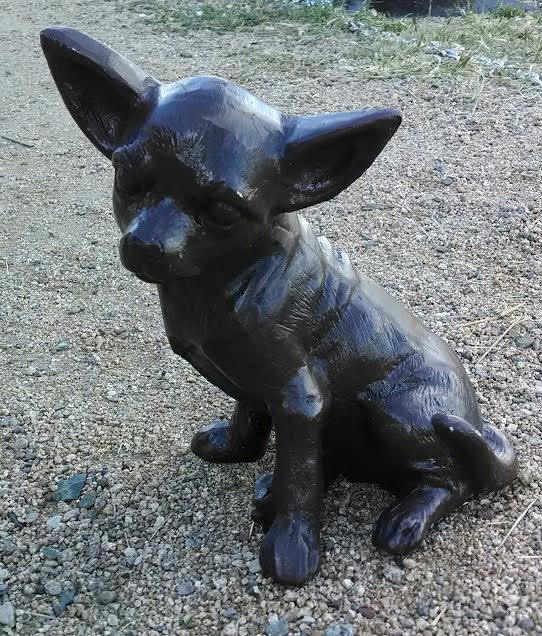 Chihuahua, Sitting