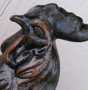Rooster Close Up