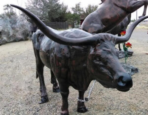 Longhorn XL
