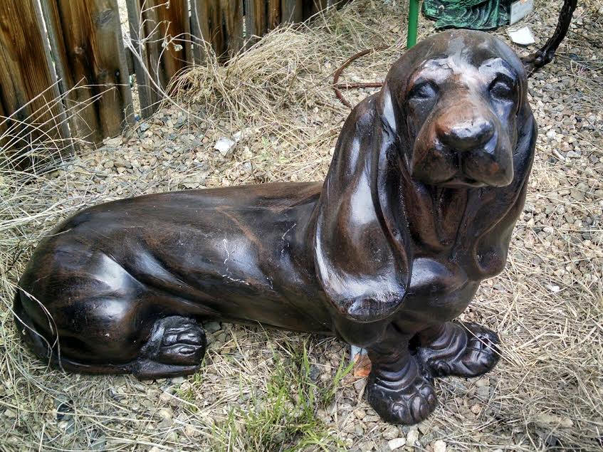 Basset Hound