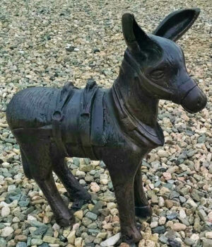Small Burro