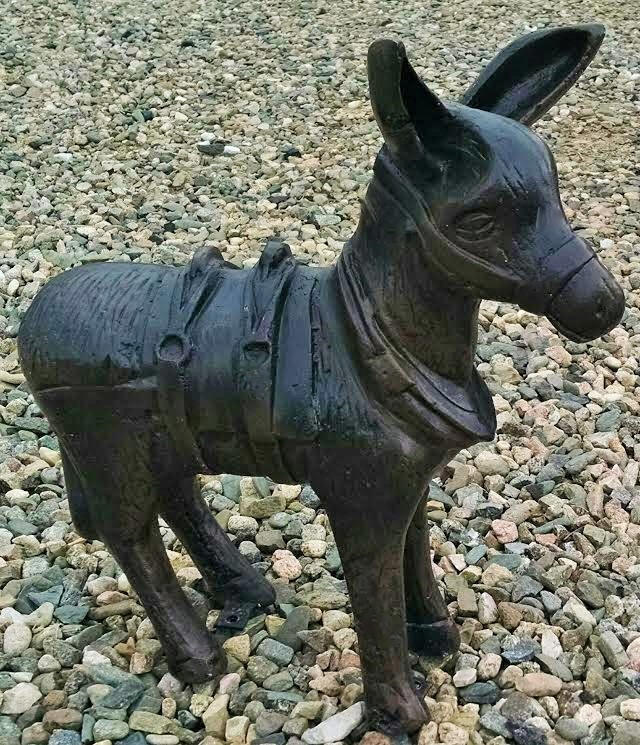Small Burro