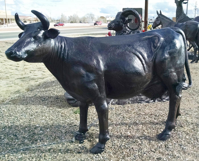 Cow