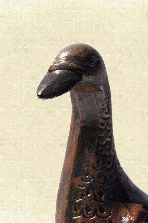Goose Close Up
