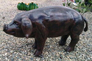 "Old Pig"
