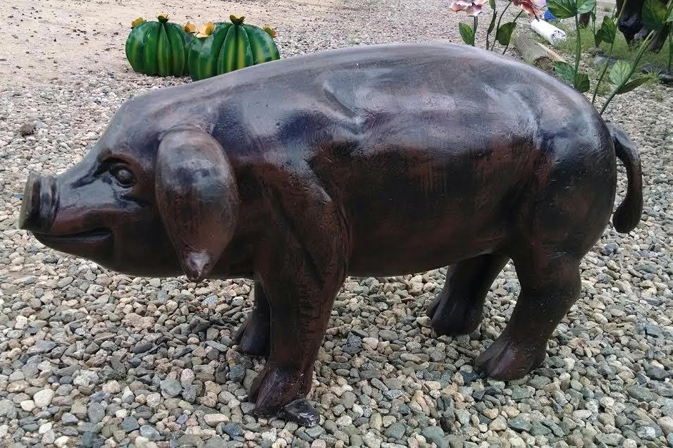 "Old Pig"