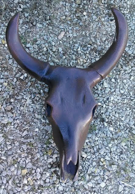 Bull Skull