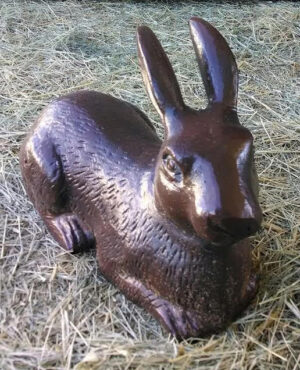 Laying Bunny