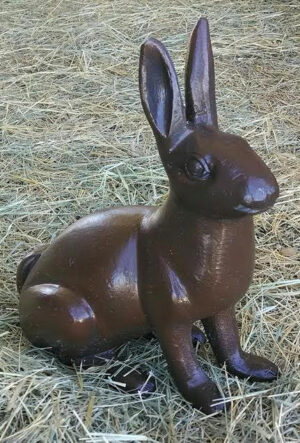 Sitting Bunny