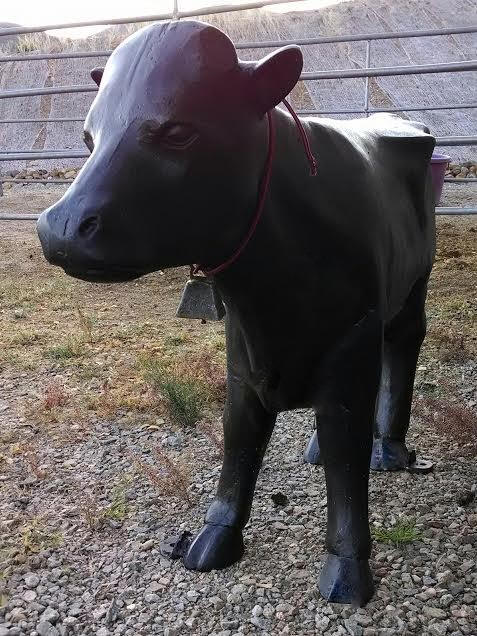 Calf