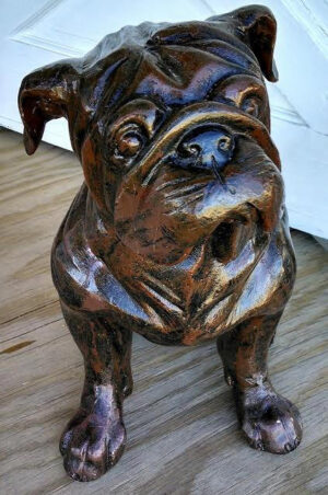 English Bull Dog