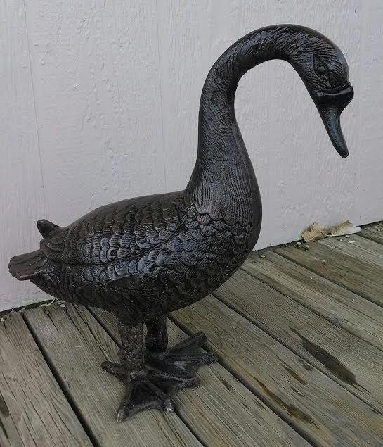 Duck, Head Down