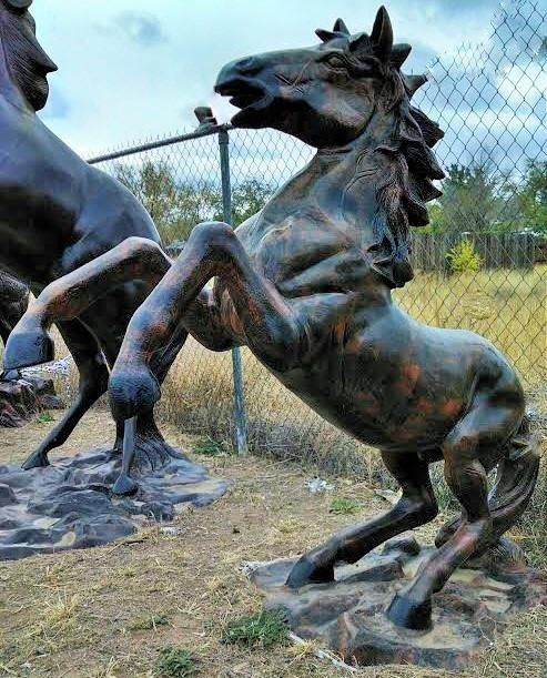 Mustang, Rearing