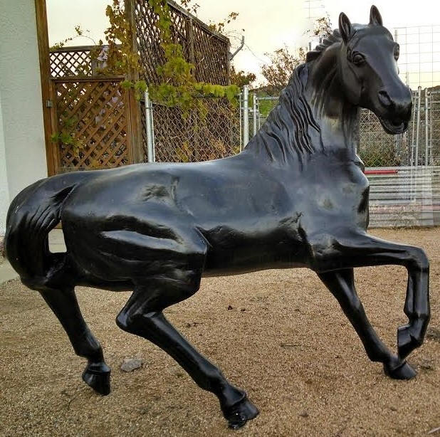 Stallion Horse