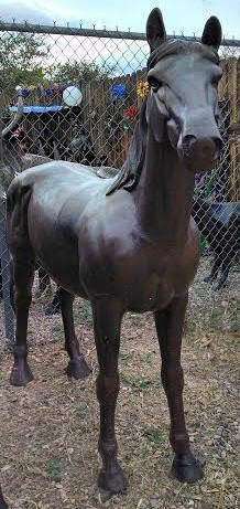 Medium Horse