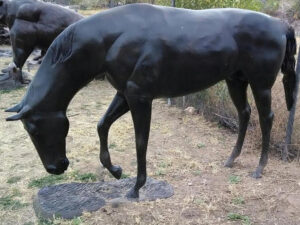Horse Grazing