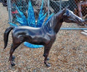Pony Horse