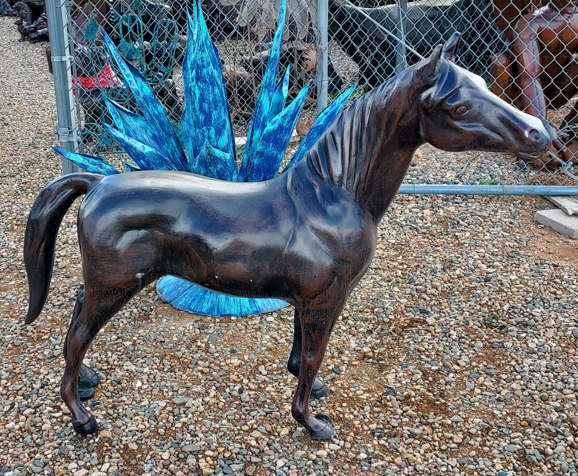 Pony Horse