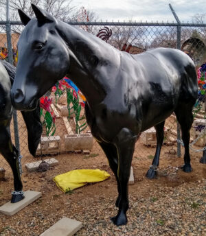 Quarter Horse
