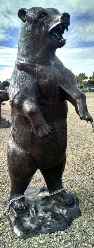 Grizzly Bear, Standing