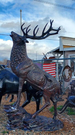 Large Elk on Stone