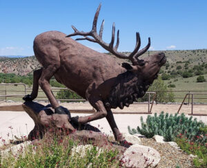 Small Elk on Stone