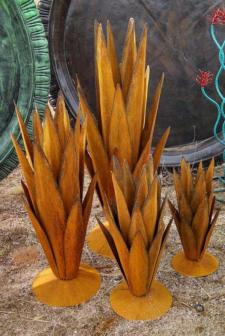 Rustic Agaves - 7 Sizes