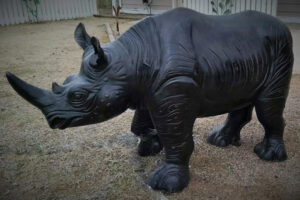 Rhino Lg.