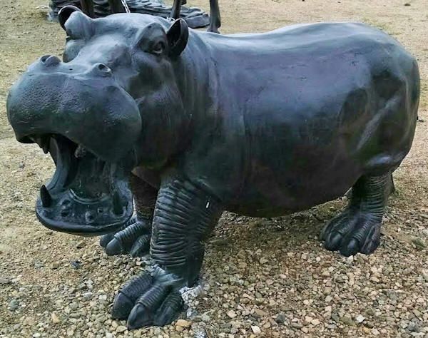 Hippopotamus Lg.
