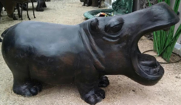Hippo Med.