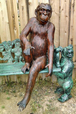 Monkey