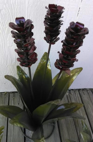 Agave Trio, Small Set