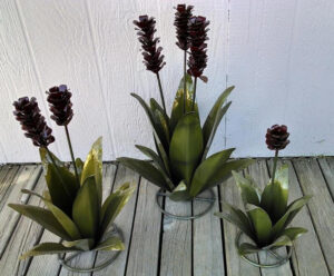 Agave Trio, Large Set