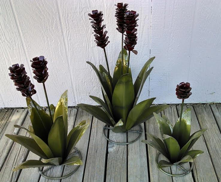 Agave Trio, Large Set