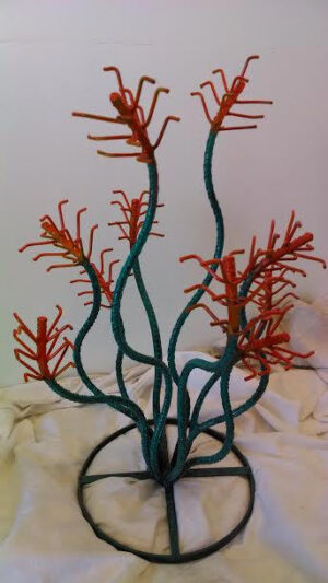 Ocotillo, Small