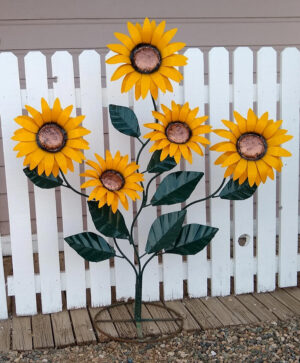 Sunflower, XL 5-Bloom