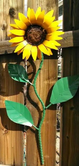 Long-Stem Wall Sunflower