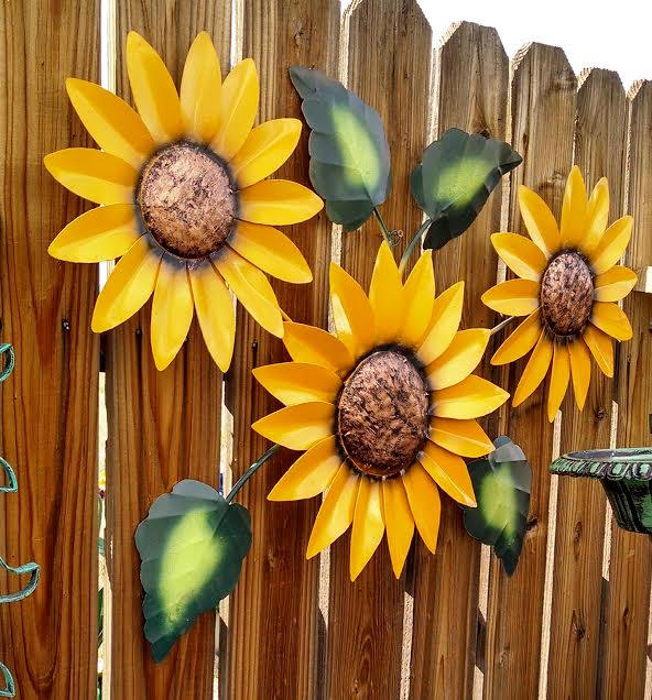 Three-Bloom Wall Sunflower
