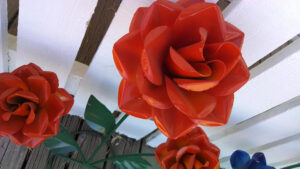 One Foot Roses, Trio Blooms