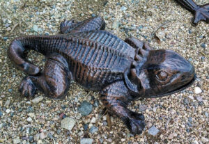 Horny Toad