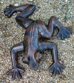 Hanging Frog