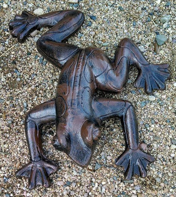 Hanging Frog