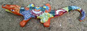 Alligator
