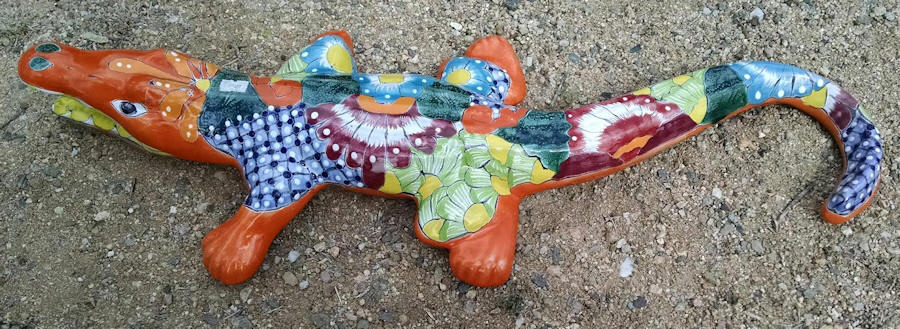 Alligator