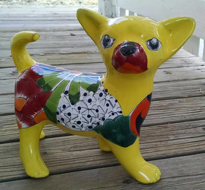 Chihuahua, Standing