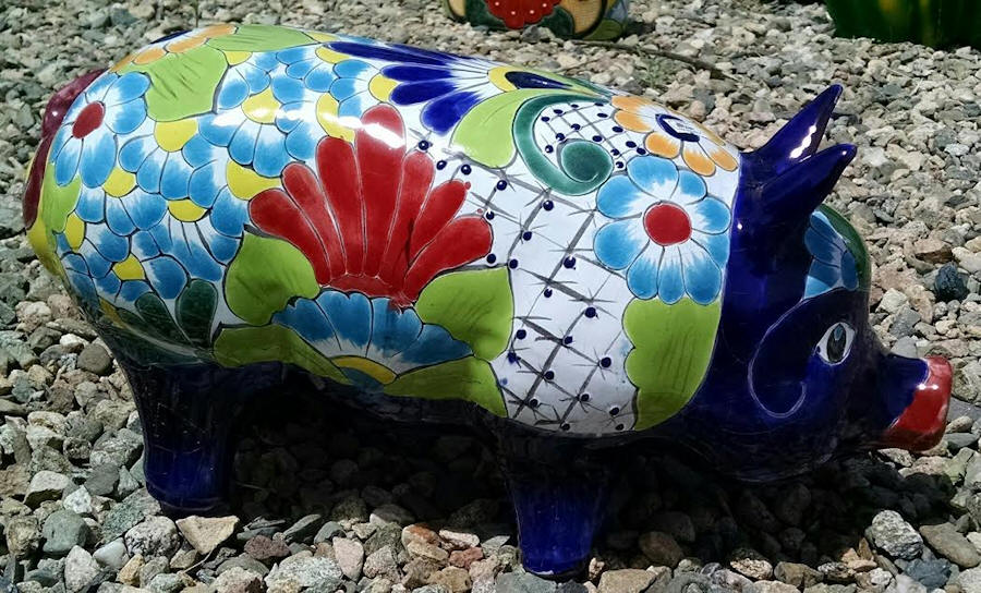 Pig Bank, Medium