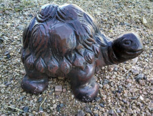 Tiny Turtle